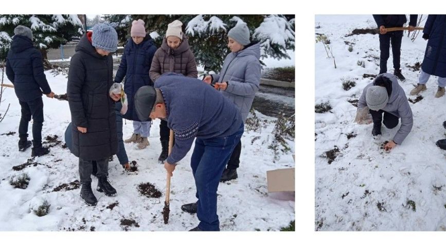 Учні Кордишівської гімназії висади 500 цибулин різних квітів