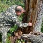 На Території Самгородоцької ТГ чистять ліси. Біля яких сіл будуть санітарні вирубки?