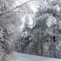 Сніжно і морозно: про погоду у Козятині сьогодні, 12 січня