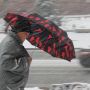 Шквальний вітер та мокрий сніг: про погоду у Козятині сьогодні, 21 січня