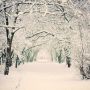 Сніжитиме весь день: про погоду у Козятині сьогодні, 26 січня