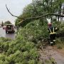 Наслідки негоди у районі: рятувальники прибирали дерева з автошляхів