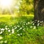 Буде сонячно: про погоду  у Козятині сьогодні, 24 травня та прикмети дня