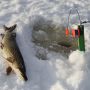Риболовля в лютому: головні особливості та календар кльову