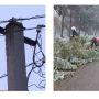 Негода в області: рятувальники прибирають повалені дерева, а енергетики наголошують про небезпеку обриву ліній