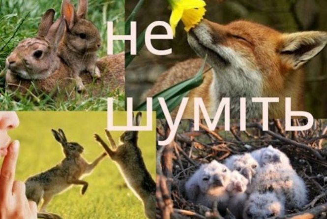 З першого квітня в Україні стартує сезон тиші. Як він буде ...